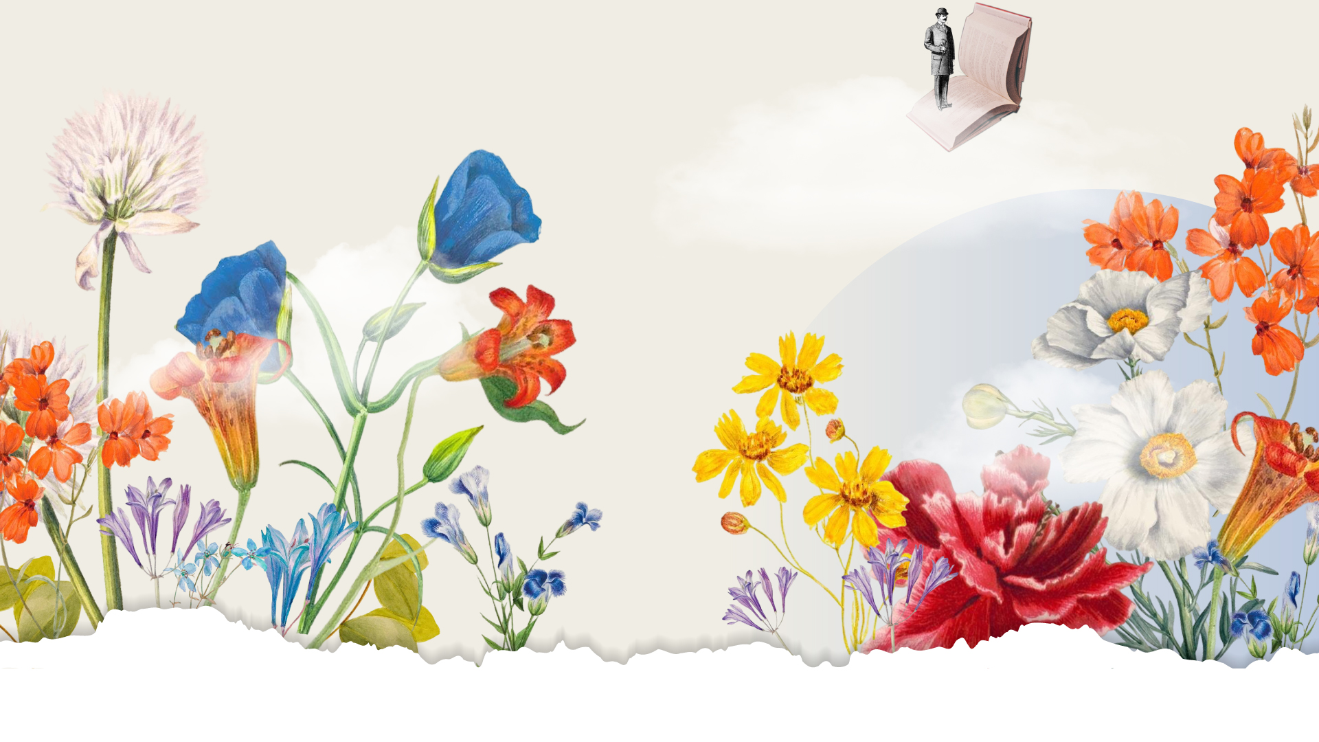 Des formations florissantes